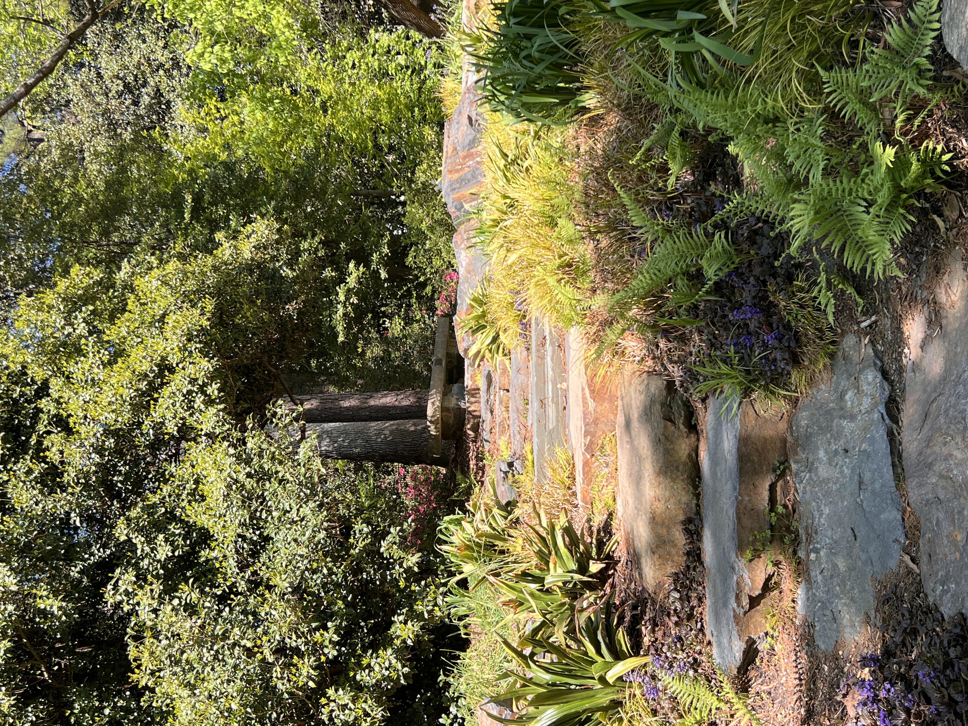 ./2023/05 - Toni Adventures/IMG_3192.JPG